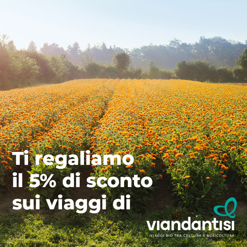 Viaggia con ViandantiSì - sconto del 5%