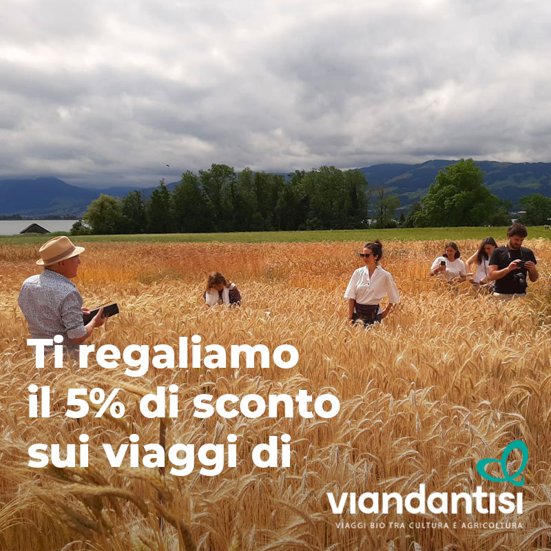 Viaggia con ViandantiSì - sconto del 5%