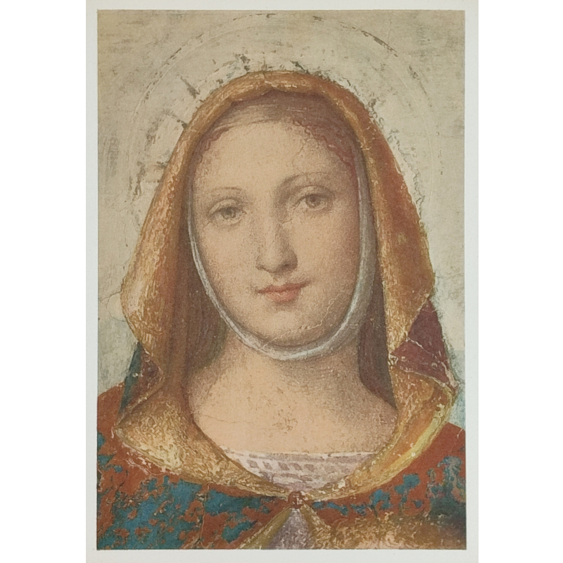 Cartolina: Testa di Vergine di Bernardino Luini