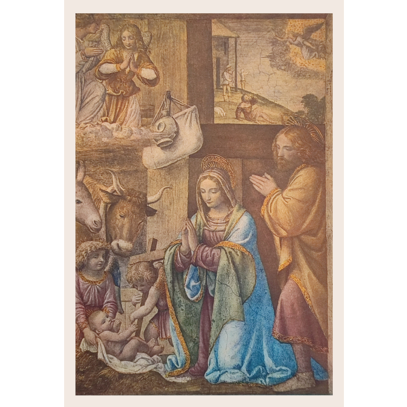 Cartolina: La natività di Bernardino Luini