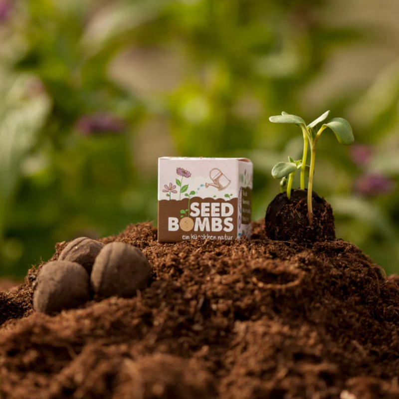 Pallina di terra con semi misti  - Seed boms 