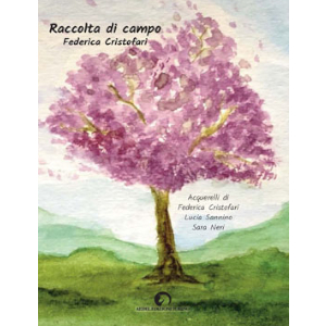 Raccolta di campo 